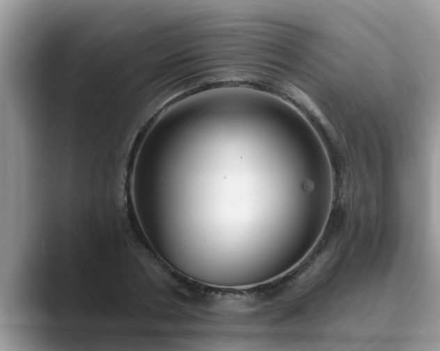 X0000089880786200707051209