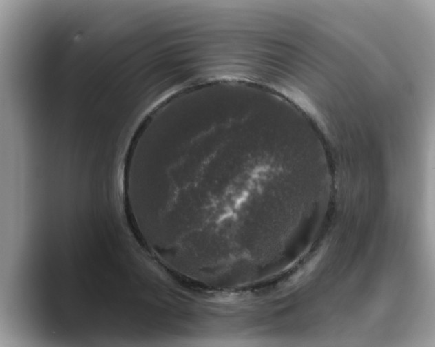 X0000089880790200707051209