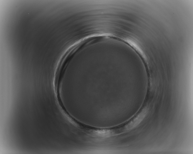 X0000089880797200707051209