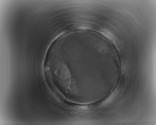 X0000089880798200707051209