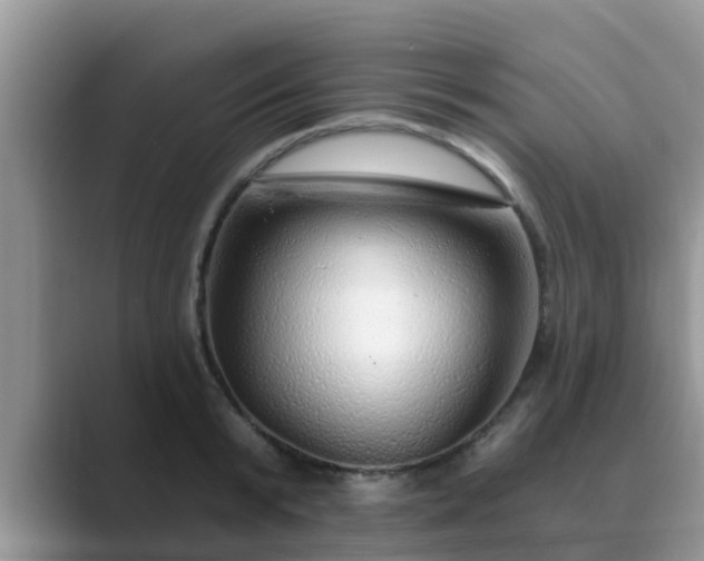 X0000089880799200707051209