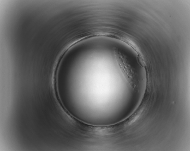 X0000089880803200707051209