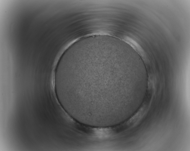 X0000089880804200707051209