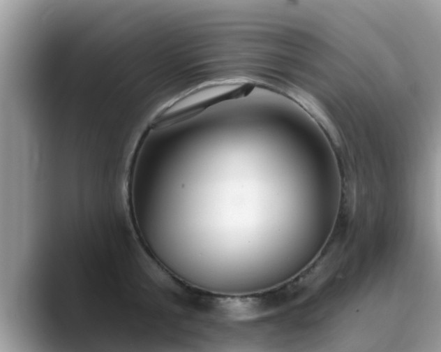 X0000089880805200707051209