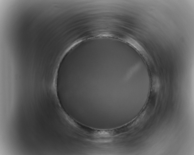 X0000089880806200707051209