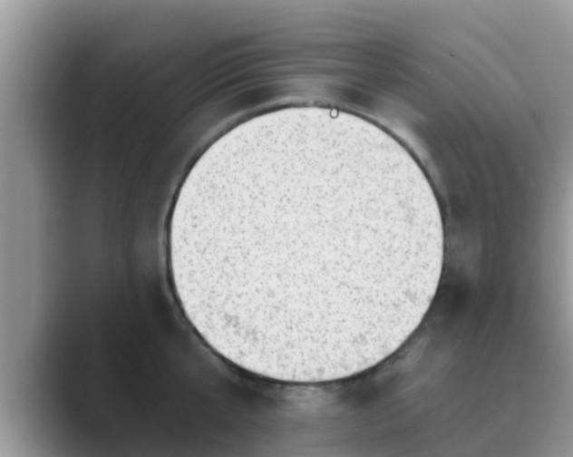 X0000089880807200707051209