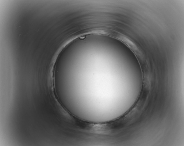 X0000089880808200707051209