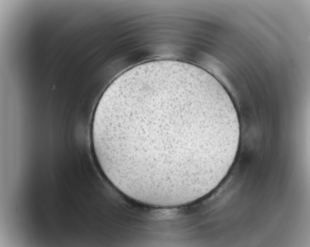 X0000089880810200707051209