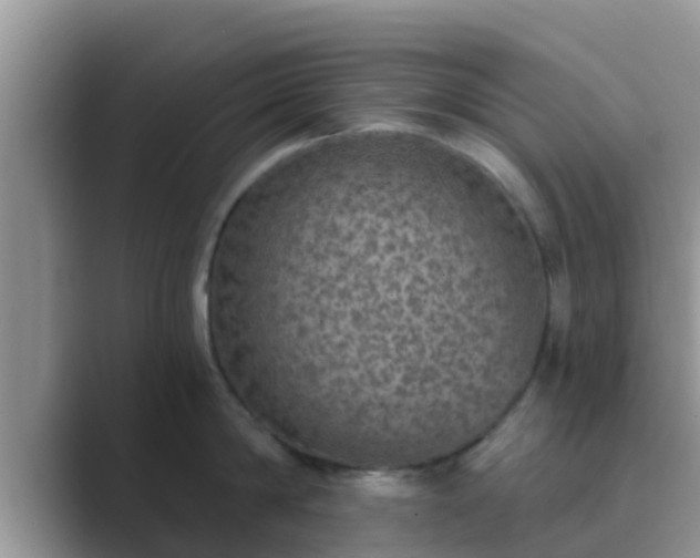 X0000089880814200707051209