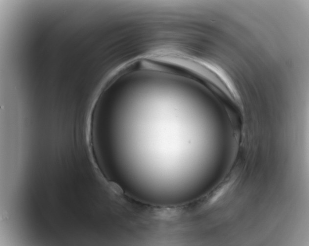 X0000089880815200707051209