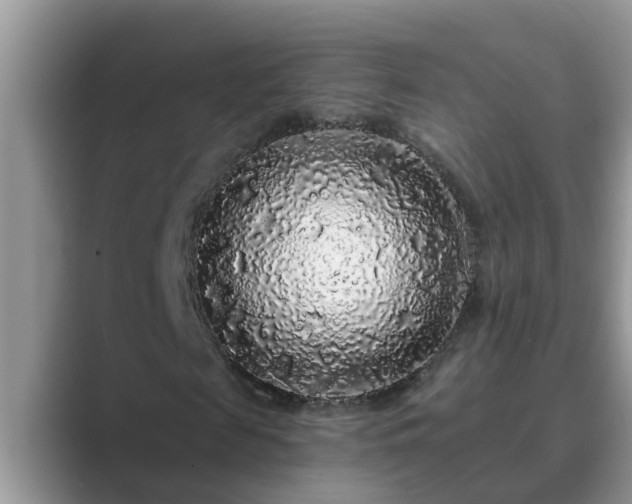 X0000089880817200707051208