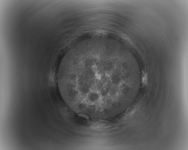 X0000089880819200707051208