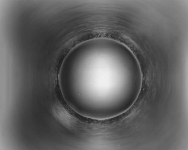 X0000089880821200707051208