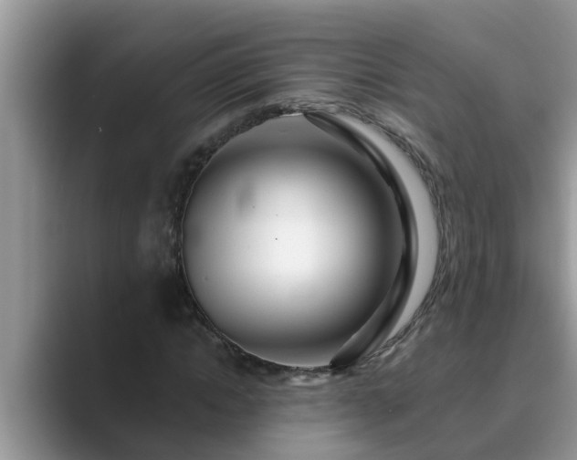 X0000089880822200707051208