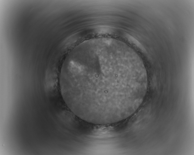 X0000089880824200707051208