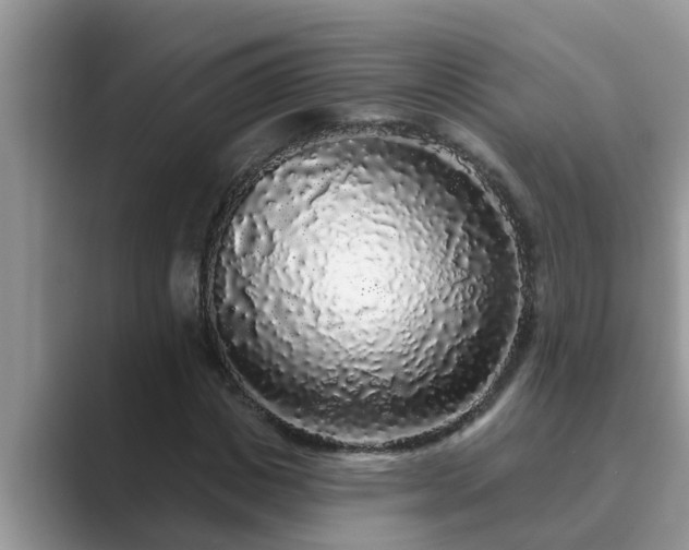 X0000089880825200707051208