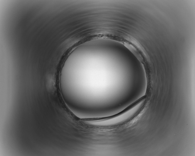 X0000089880826200707051208