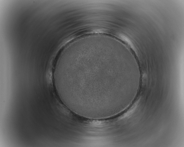 X0000089880827200707051208