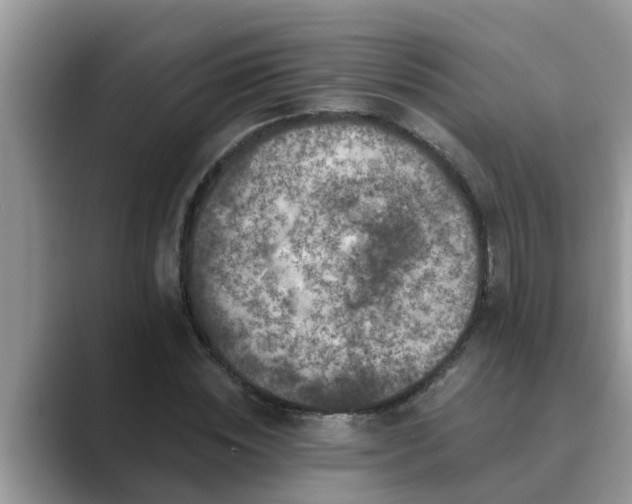 X0000089880828200707051208