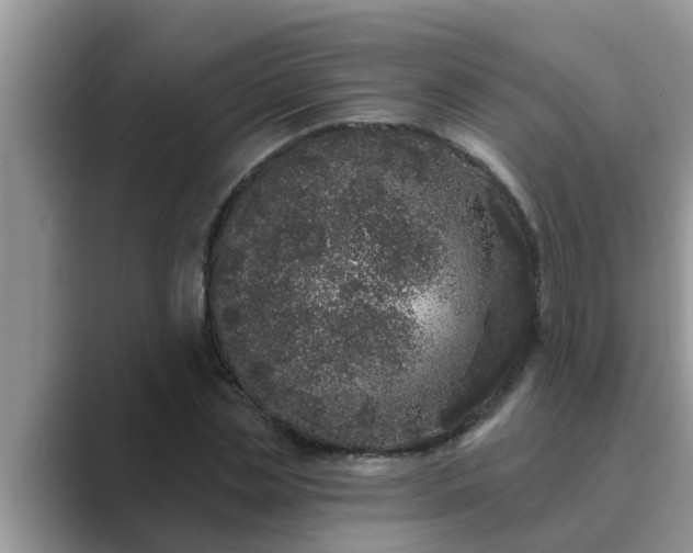 X0000089880829200707051208