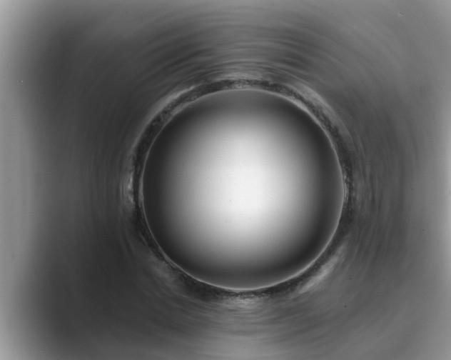 X0000089880830200707051208