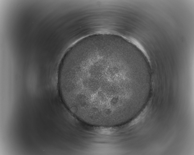 X0000089880831200707051208