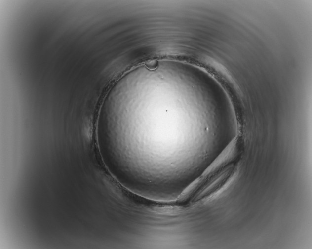 X0000089880833200707051208