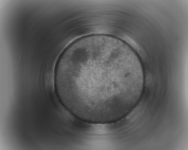 X0000089880836200707051208