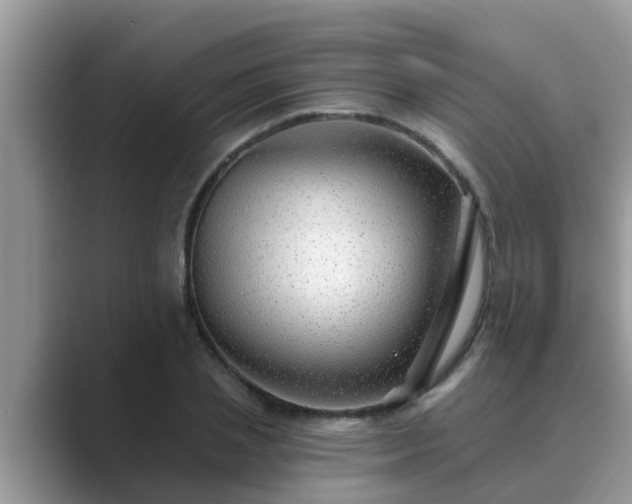 X0000089880837200707051208