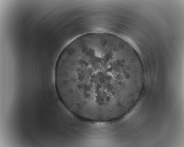 X0000089880839200707051208