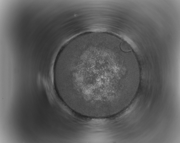 X0000089880840200707051208