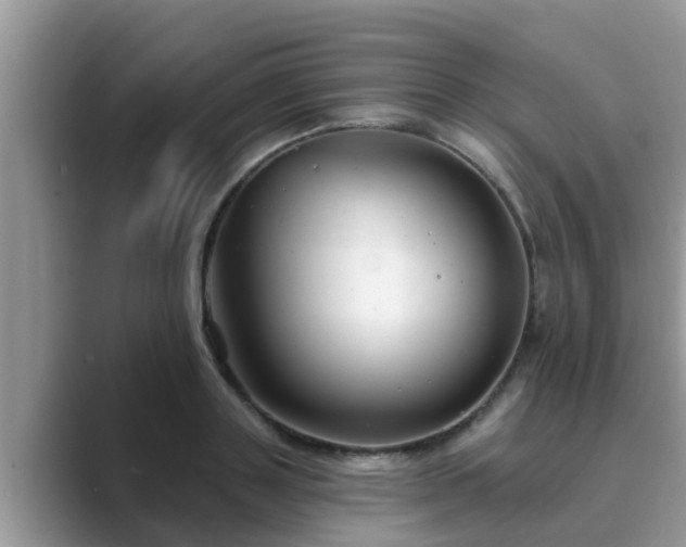 X0000089880843200707051208