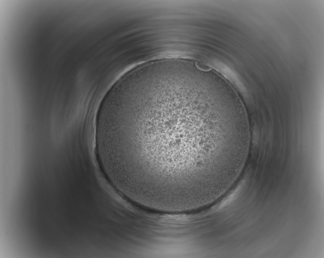 X0000089880844200707051208