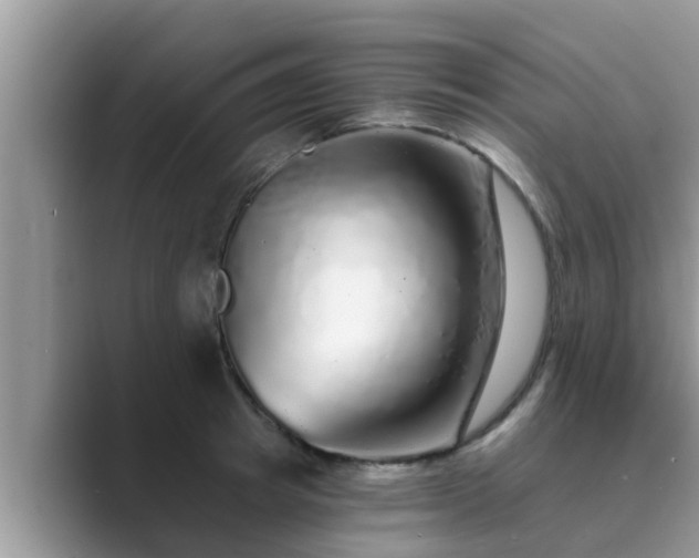 X0000089880849200707051209