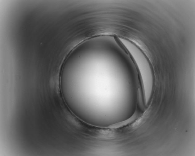 X0000089880850200707051209