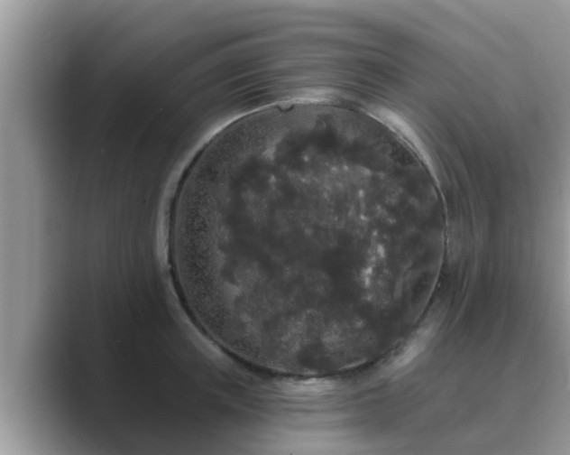 X0000089880851200707051209