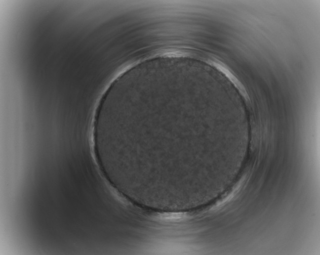 X0000089880853200707051209