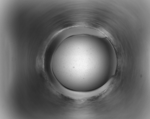 X0000089880854200707051209