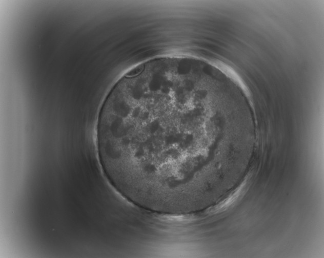 X0000089880855200707051209