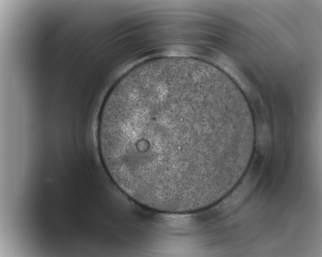 X0000089880856200707051209