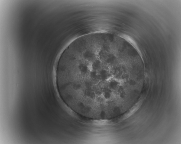 X0000089880859200707051209