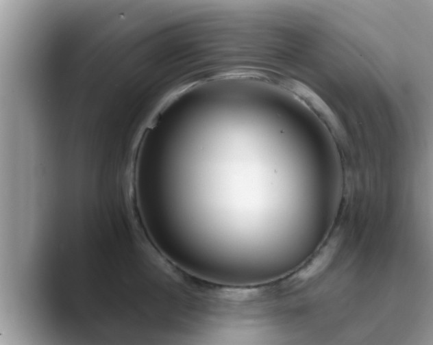 X0000089880860200707051209