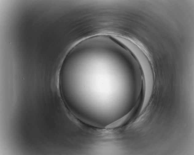 X0000089880862200707051209