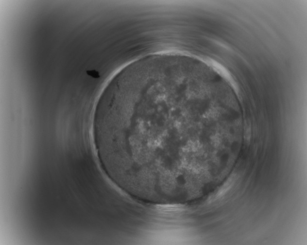 X0000089880863200707051209