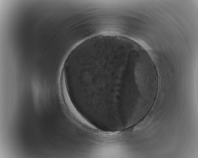 X0000089880864200707051209