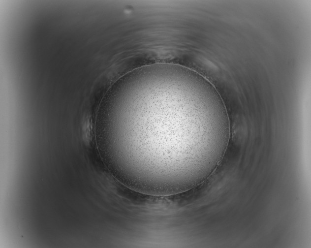 X0000089880866200707051208