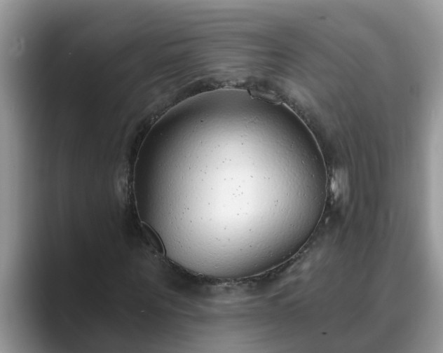 X0000089880867200707051208