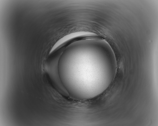 X0000089880868200707051208