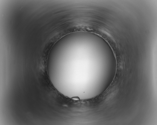 X0000089880869200707051208