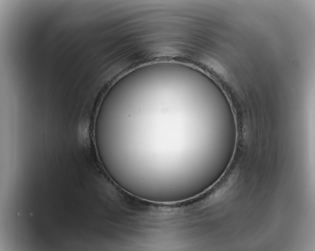 X0000089880873200707051208